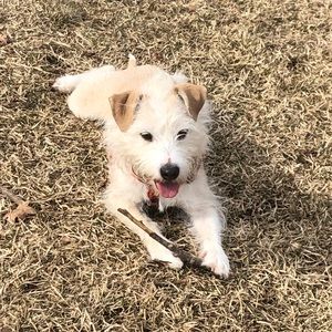 Meet your Posher, Tom